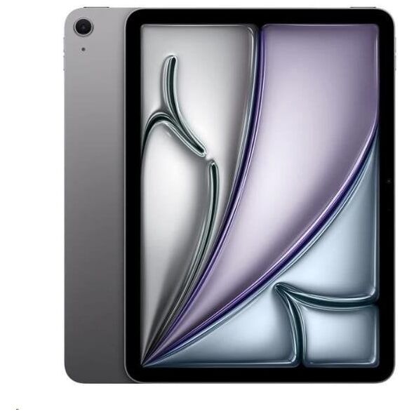 iPad Pro 11" M4 WiFi 512GB with Standard glass - Silver