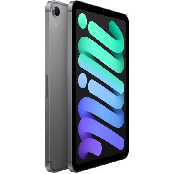 Apple iPad mini (A17 Pro) Wi-Fi + Cellular 128GB Space Gray