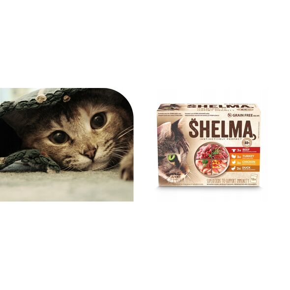 SHELMA saszetka - pełnoporcjowa bezzbożowa karma dla dorosłych kotów. Z kurczakiem, wołowiną, indykiem, kaczką 12x 85 g