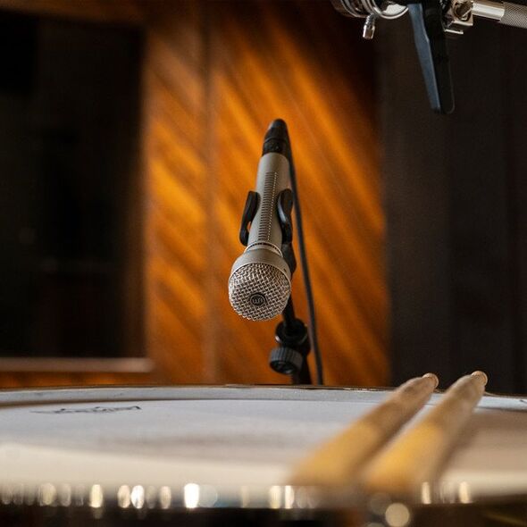 Warm Audio WA-19 - Mikrofon dynamiczny