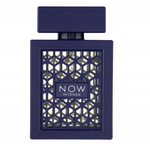 Rave Now Intense EDP M 100 ml