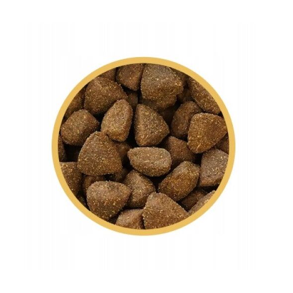 BIOFEED Euphoria Fresh Meat Junior Medium & Large Indyk i Królik 12kg