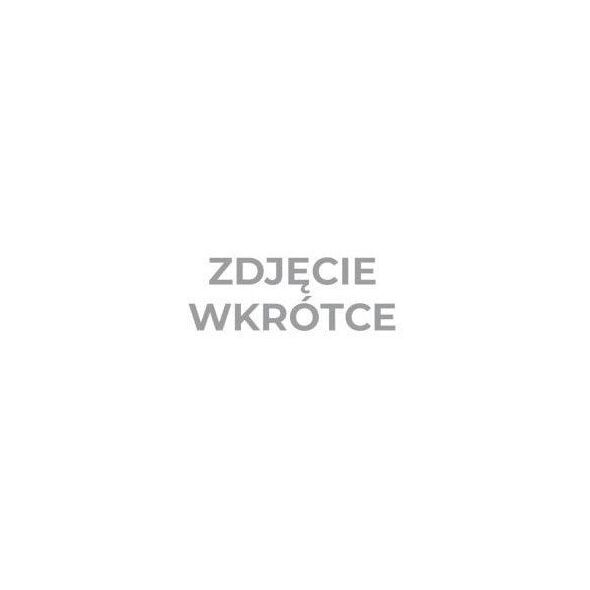 Pilnik ślusarski płaski rpsa 125/2, z rękojeścią