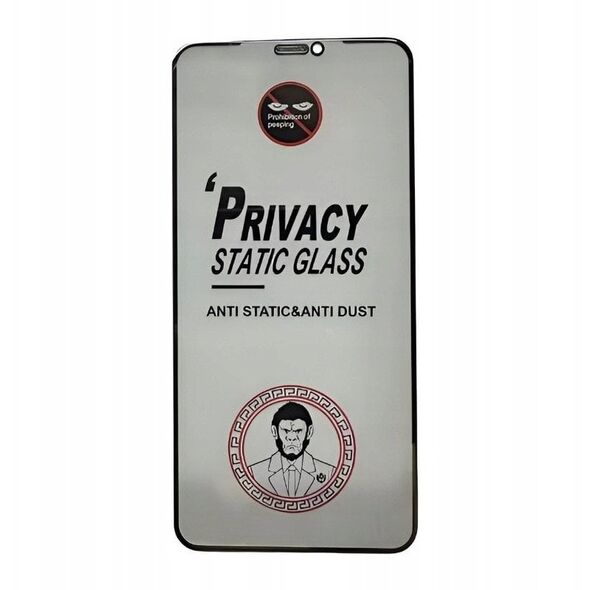 LCD apsauginis stikliukas ESD Anti-Static Privacy Samsung A556 A55 5G
