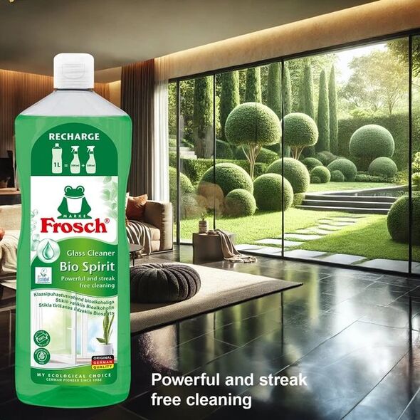 FROSCH GLAS AND MIRROR CLEANER 1L