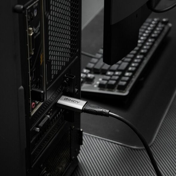 Lindy 41095 zmieniacz płci / kabli DisplayPort HDMI Type A Szary