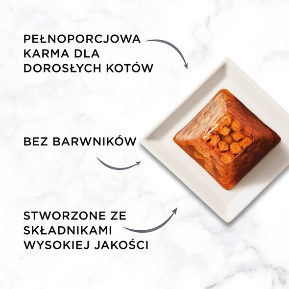 PURINA GOURMET REVELATIONS Łosoś w galaretce 2X57g