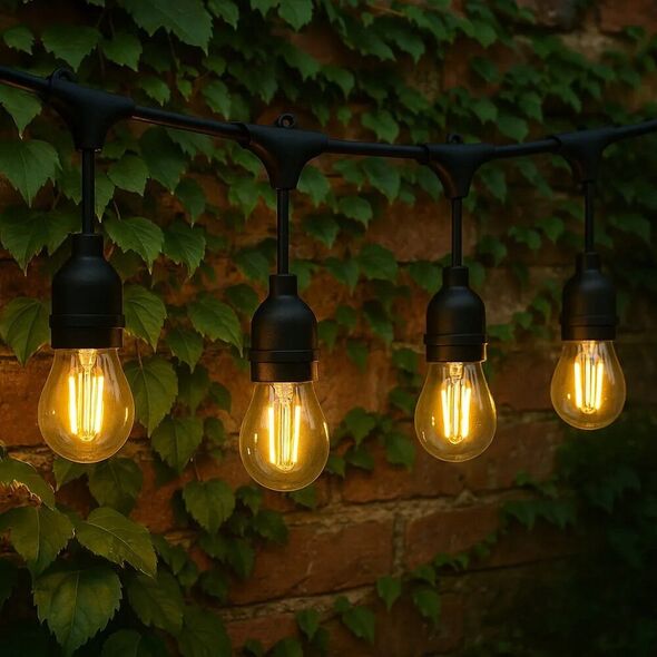 Extralink Garden Garland, 15m String Lights with 15 Bulbs