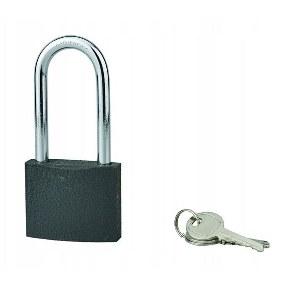 Pakabinama spyna SERRUPRIX Acera, pailga asele, 3 raktai, ketus, 60 mm, 988165