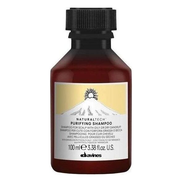 Davines DAVINES_Naturaltech Purifying Shampoo przeciwłupieżowy szampon oczyszczający 100 ml