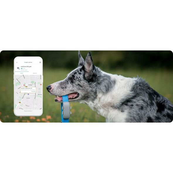 Notione lokalizator GPS PET dla zwierząt