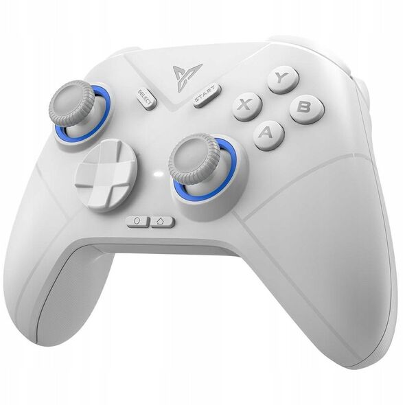 Universal controller for games Bluetooth Flydigi DIREWOLF 2 white