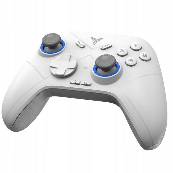 Universal controller for games Bluetooth Flydigi DIREWOLF 2 white