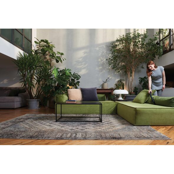Cyclonic vacuum cleaner HOOVER HP105HM 011