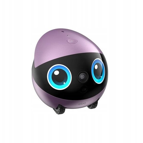 EnaBot - EBO AIR 2 Plus - domowy robot towarzyszący z funkcją monitoringu i rozmów video (purpurowy)