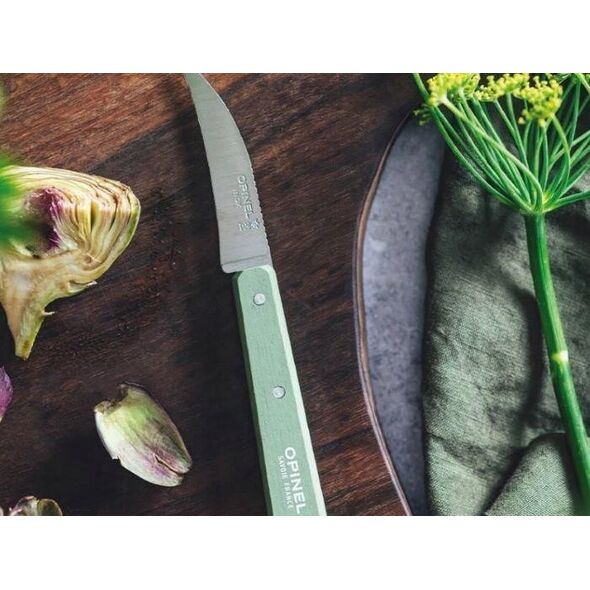 Opinel Nóż Vegetable Sauge 114