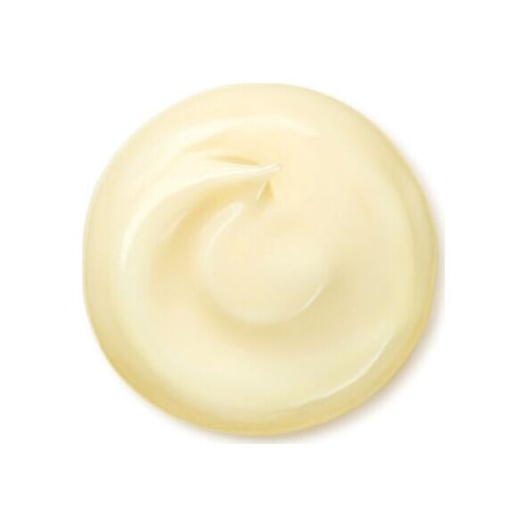 Shiseido SHISEIDO BENEFIANCE WRINKLE SMOOTHING CREAM 30ML