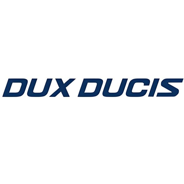 DUX DUCIS rysik STYLUS SP-06 do iPada z ładowaniem bezprzewodowym i wyświetlaczem biały