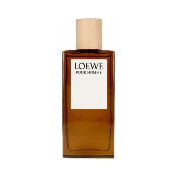 Loewe Pour Homme EDT 100 ml