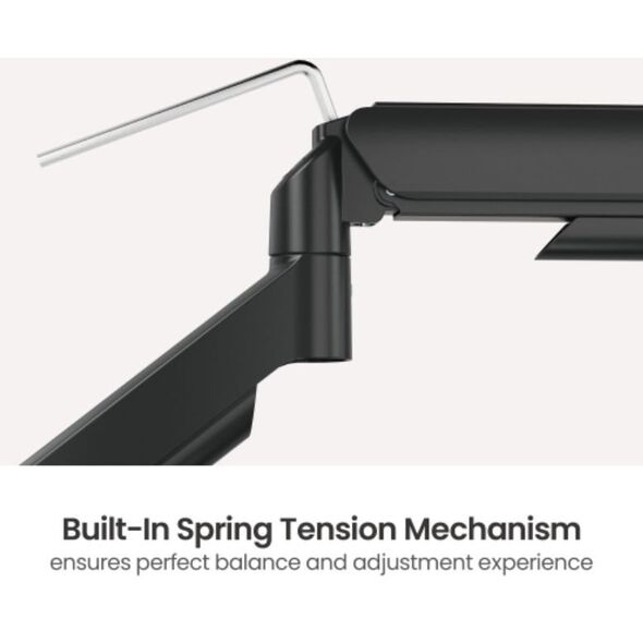 Dual Gas Spring Monitor Mount