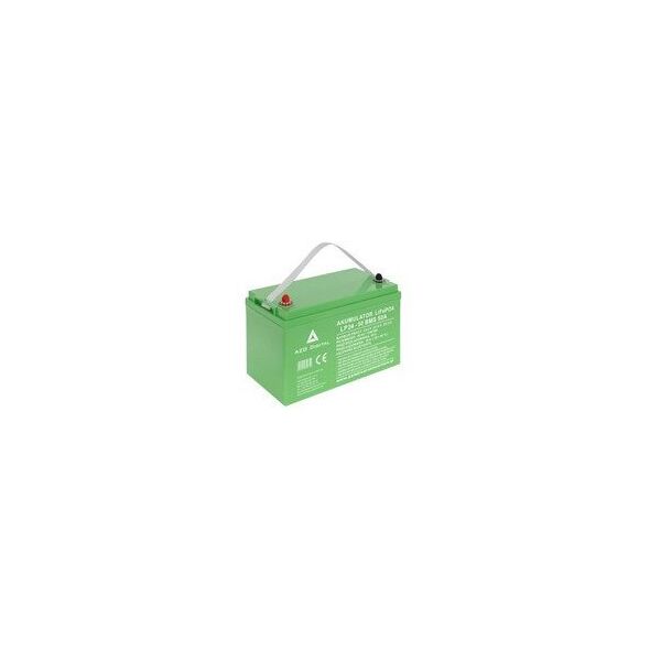 Akumulator LiFePO4 LP24-50 50Ah 24V 50A Bluetooth mata grzewcza