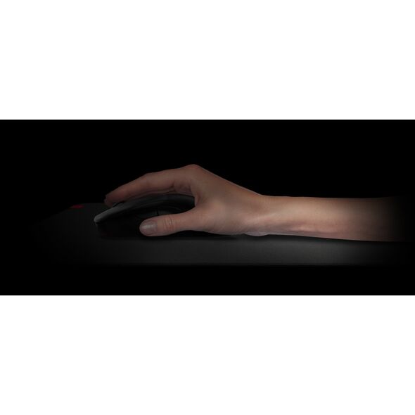 BenQ ZOWIE G-TR