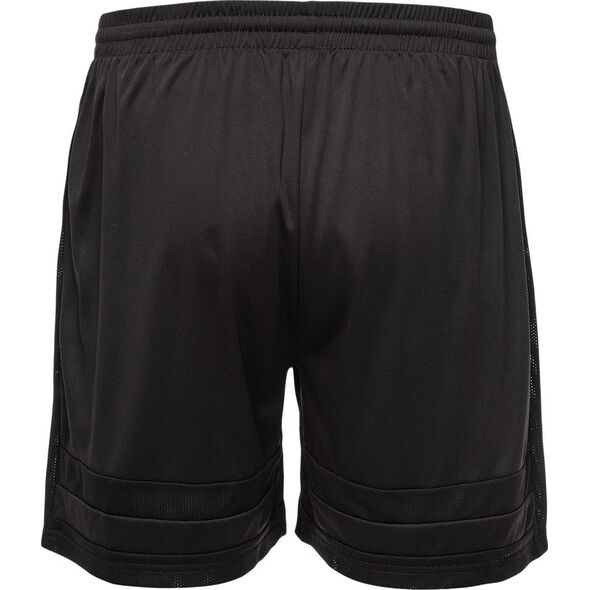 Męskie Spodenki Artigas Ii Senior  black bean/reflective rozmiar L