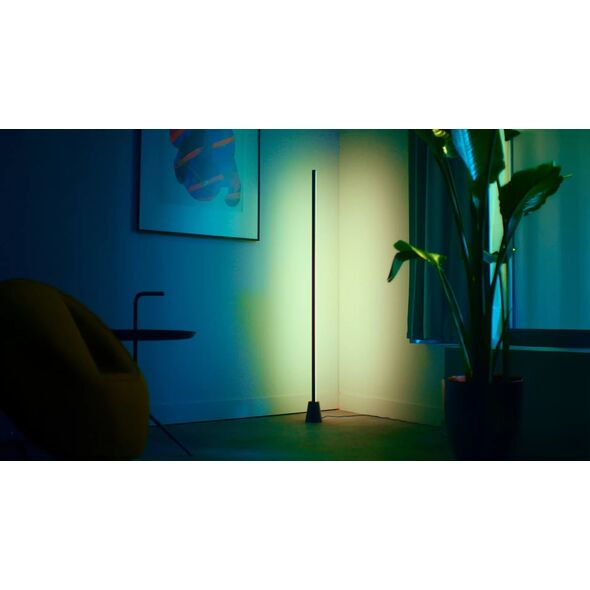 Wiz Gradient Floor Light  RGB  Bluetooth  Matter  black - Vieda lampa 929004732801 (8719514865273)