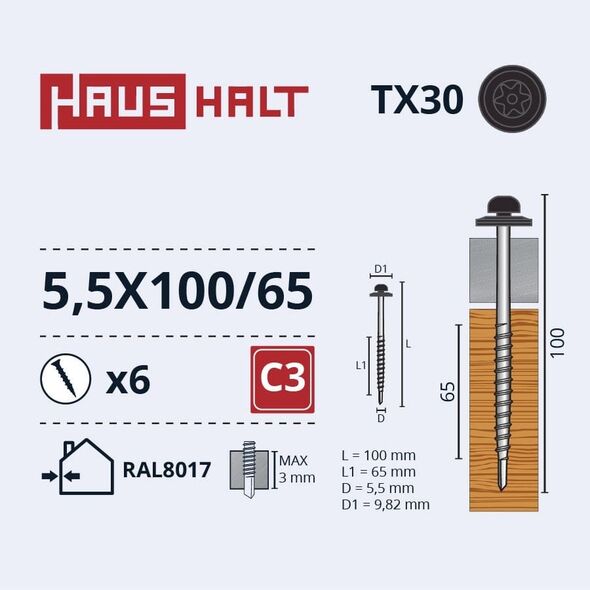 ΒΙΔΑ ΑΥΤΟΔΙΑΤΡΗΤΗ 5,5X100/65 TX/EMPD RAL8017 6ΤΜΧ