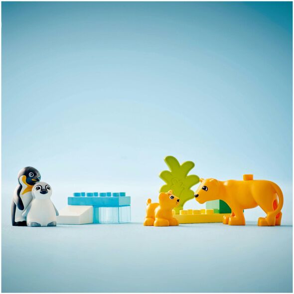 Duplo Άγριες Οικογένειες Ζώων: πιγκουίνοι και λιοντάρια (10442)