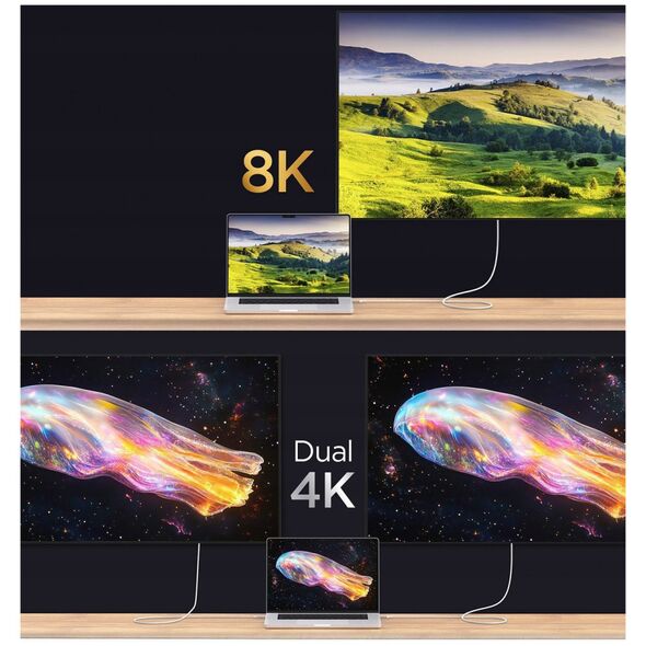 Spigen Essential USB C to USB C 240W Cable, white EB24012CC