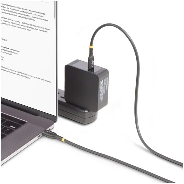Καλώδιο USB StarTech USB-C - USB-C 2 m Μαύρο (USB2EPR2M)