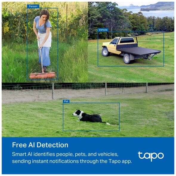 TP-LINK Surveillance camera TAPO C501GW / C501GW White