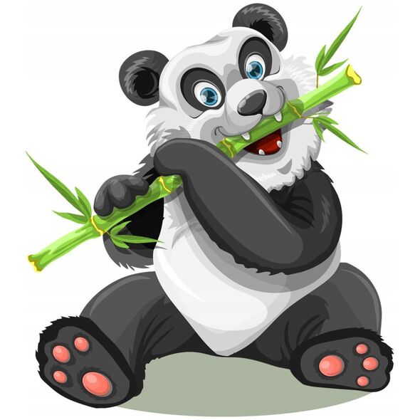 5five Σετ αξεσουάρ μπάνιου: δοχείο για οδοντόβουρτσες + σαπουνοθήκη