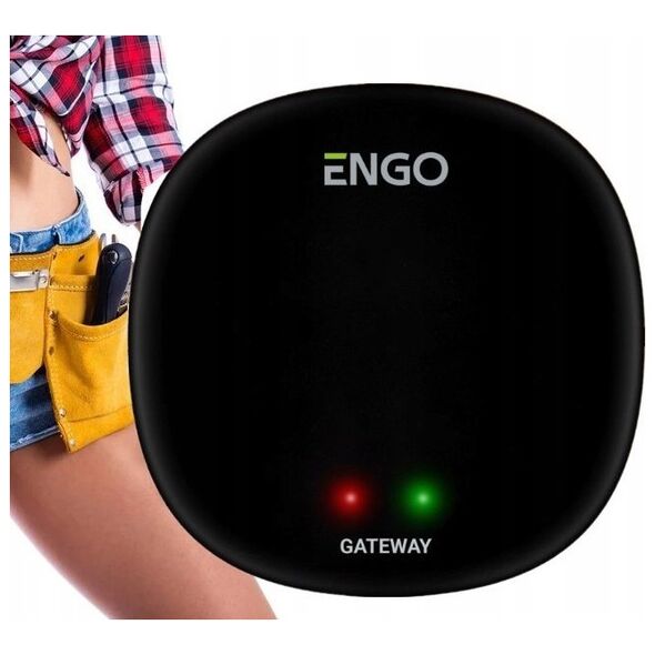 Engo Engo πύλη διαδικτύου ZigBee για συσκευές της σειράς ENGO Smart EGATEZB