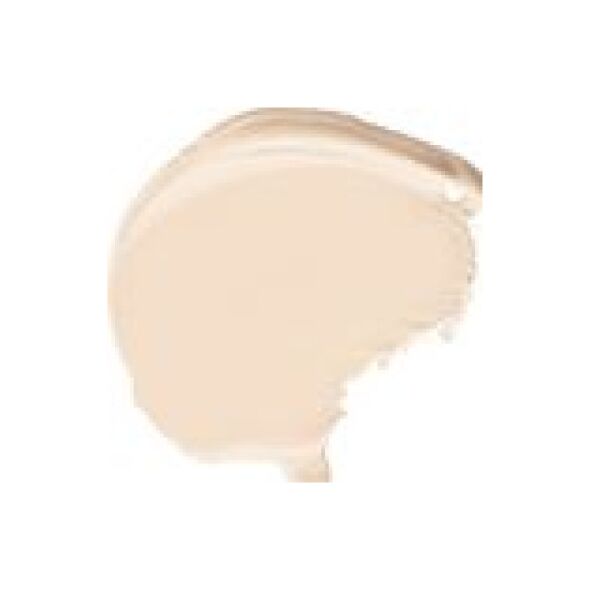 Dermacol Make-Up Cover 30g 208