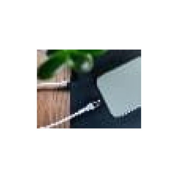 Καλώδιο TRACER Τύπου C - Lightning 1m WH