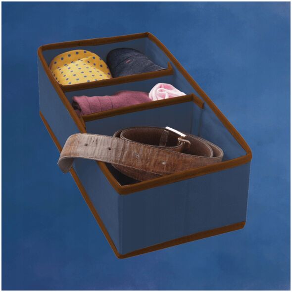 Κουτί με διαχωριστικά M 30 5x15 5x10cm Μπλε 8004226010104