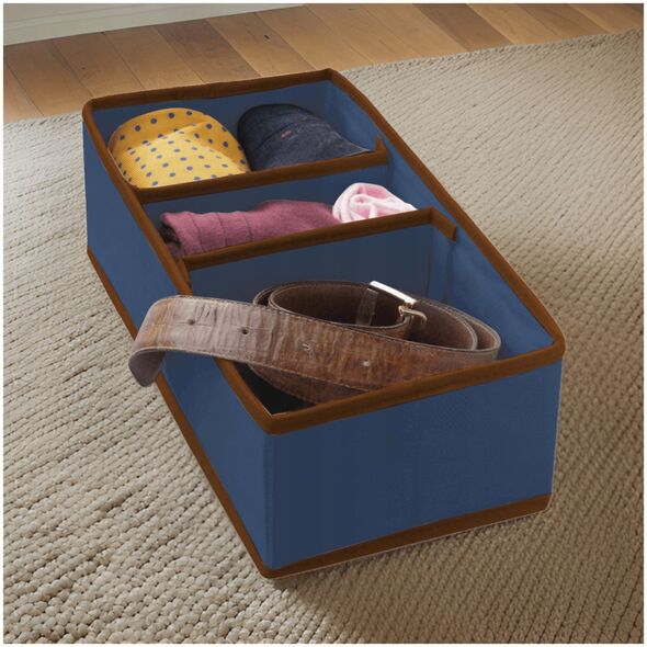 Κουτί με διαχωριστικά M 30 5x15 5x10cm Μπλε 8004226010104