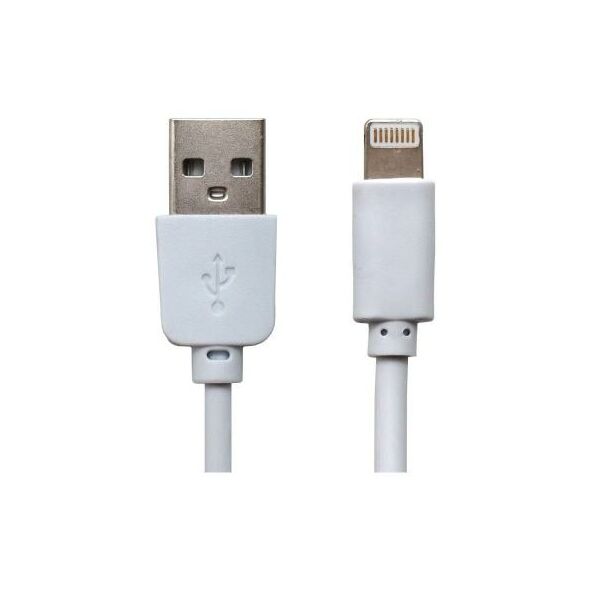 Καλώδιο Σύνδεσης USB 2.0 USB A σε Lightning 0.3m Λευκό (Ασυσκεύαστο) 1110111010358 1110111010358 έως και 12 άτοκες δόσεις