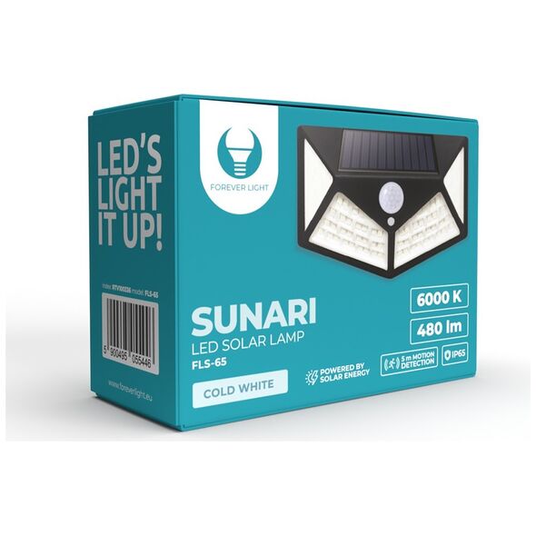 SUNARI Solar Lamp LED FLS-65 100*SMD PIR 6W 480lm 6000K 1200mAh Li-Ion Forever Light