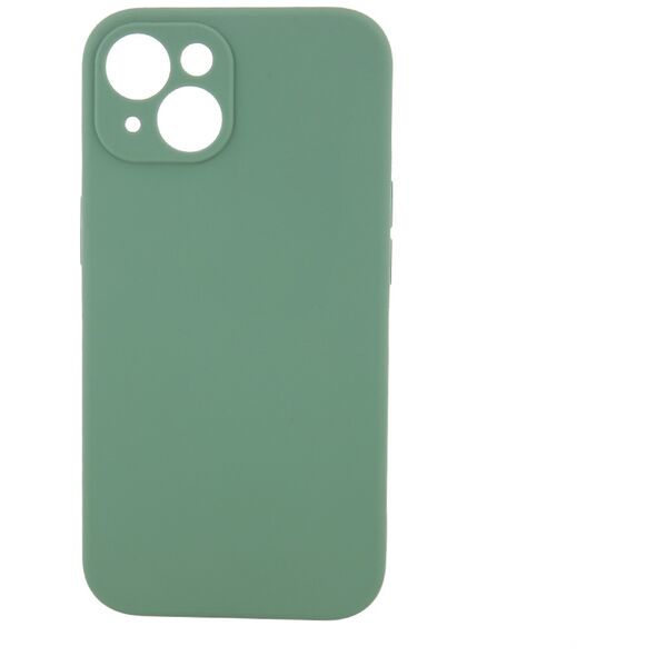 Mag Invisible case for iPhone 12 6,1&quot;  pistachio