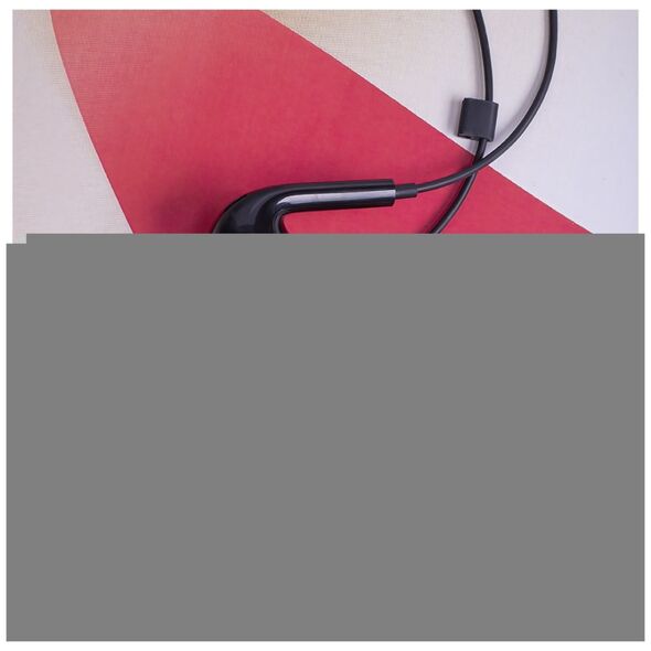 Maxlife wired earphones MXEP-04 USB-C black