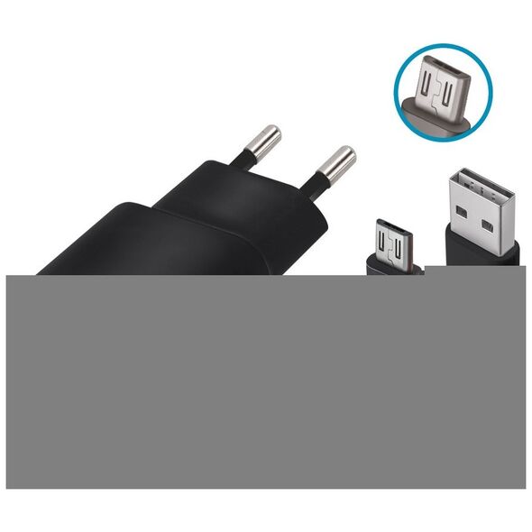 Forever TC-01 charger 1x USB 2A black + microUSB cable 5900495623294