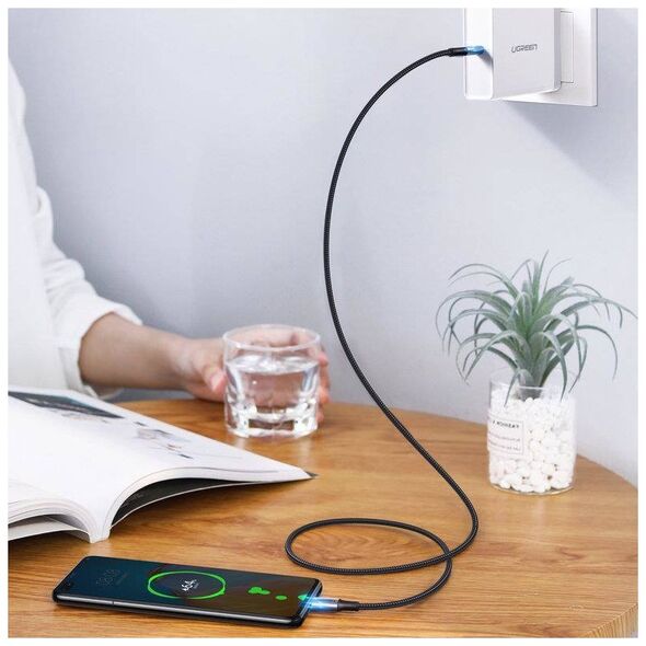 UGREEN US316 Type C to Type C Cable, 100W, 3m (black) 6957303806737