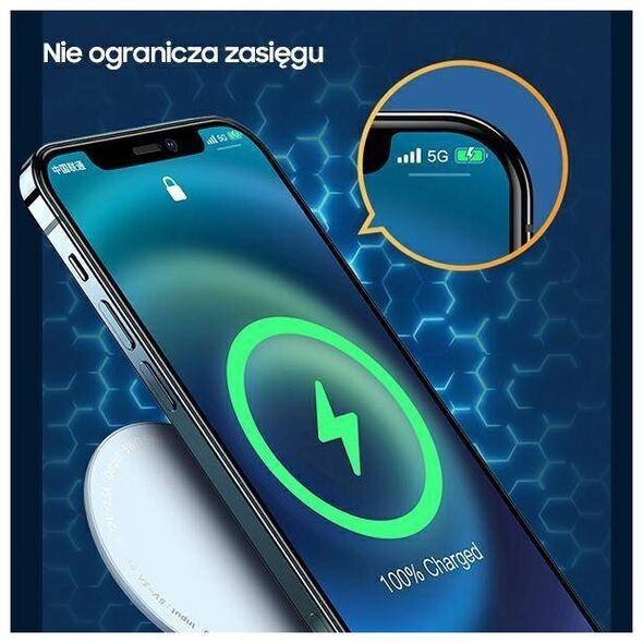 6958444940618