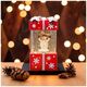 Christmas Snow Globe Lantern GIFT FLX-3 Forever Light 5907457776975