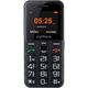 κινητό τηλέφωνο myPhone Halo Easy Μαύρο και ασημί 974884 5900495512376