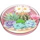 Podstawka PopSockets Popsockets 2 Bulbasaur Terrarium 112661   uchwyt i podstawka do telefonu - licencja