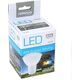 Omega LED SPOTLIGHT (42555) 702475 5907595425551